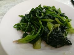 -上膳源有机农场