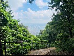 -惠山国家森林公园