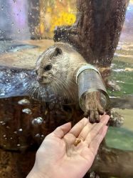 -Zoolung Zoolung动物主题公园(海信广场店)