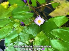 -龙华寺