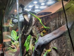 -酷嗒动物文化乐园(cutezoo西溪乐天城店)