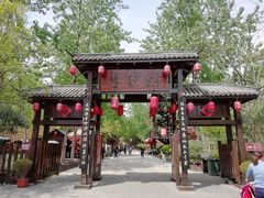 -合肥滨湖国家森林公园