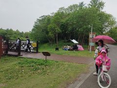 -南湖湿地公园