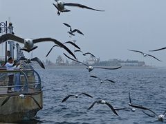 -大连海昌东方水城