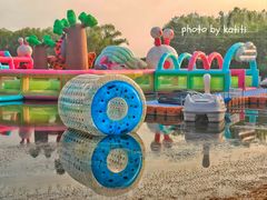 -大兴滨河森林公园