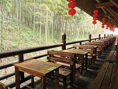 -大唐贡茶院