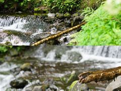 -长白山聚龙火山温泉