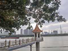 -王借岗森林公园