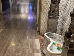 -阿五黄河大鲤鱼(纬三路店)