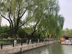 -青枫公园