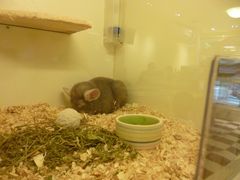 -龙猫仔乐园(惠福东路店)