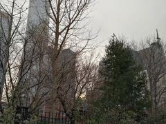 -中央广播电视总台(光华路办公区)