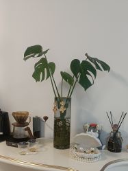 -美肤盾祛痘·问题肌头疗管理中心