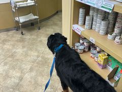 -美联众合动物医院·24h转诊中心