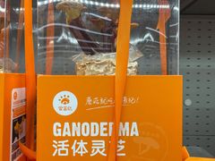 -盒马X会员店(王府井奥莱UP TOWN店)