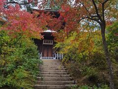 -常寂光寺