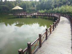 -许家山