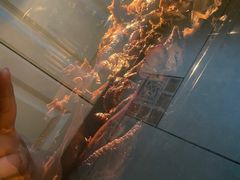 -晓马鸭店(新芜路店)