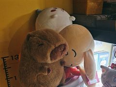 -谜盒子奇幻密室(南屏店)