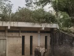-深圳野生动物园