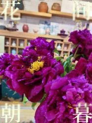 -今日陶艺(富力广场店)