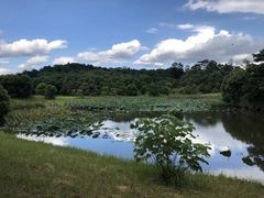 -福建鲤鱼洲酒店