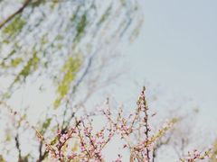 -迎泽公园
