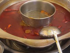 -金鼎雪山牦牛杂火锅(理县总店)