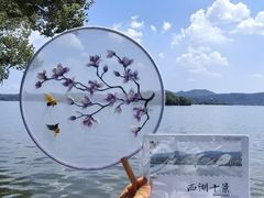 -西湖游船