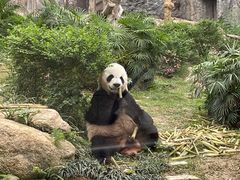 -石排湾郊野公园