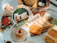 -上海共青森林公园