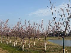 -苏州湾体育公园