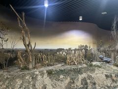 -新四军黄桥战役纪念馆(新馆)
