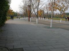 -眉山湿地公园(东坡区)