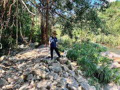 -海南热带雨林国家公园吊罗山景区