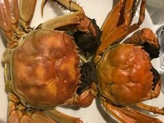 -南美元生态大酒店(海珠店)