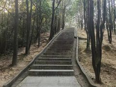 -火炉山森林公园