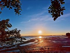 -宝安西湾红树林湿地公园