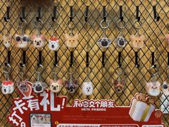 -和它·交个朋友·狗咖猫咖(爱琴海店)