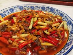 -院8里·小聚园(九眼桥店)