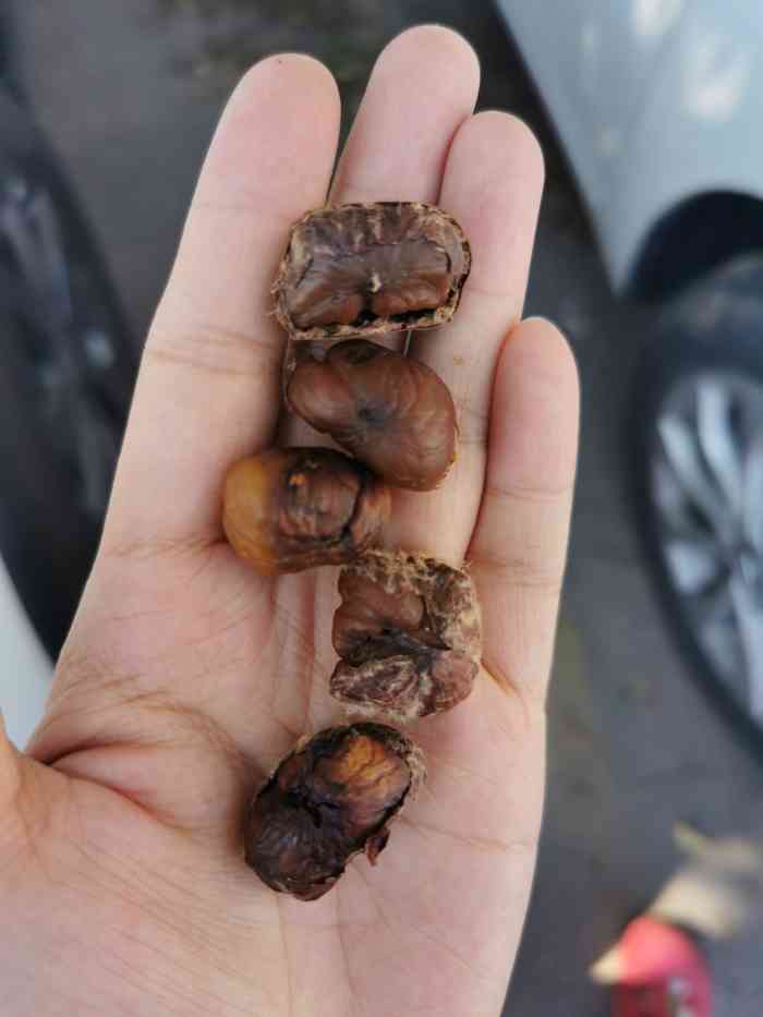 栗子坏的比以前多了,但味道还是又甜又糯,其他干果