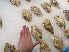 -蚝老板海鲜烧烤大排档(码头店)