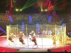 -珠海横琴长隆《卡卡虎奇遇记》