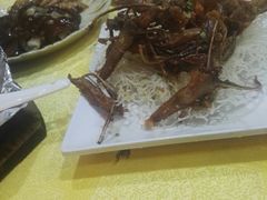 鸭舌-永合隆茶餐厅(海雅缤纷城店)