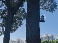 -东水关遗址公园