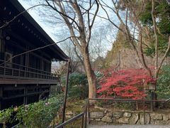 -三千院
