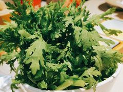 -浩爷羊蝎子火锅(望京店)