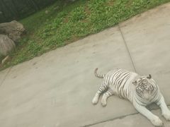 -西安秦岭野生动物园