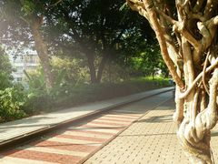 -铁路文化公园