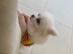 -怪兽屋·羊驼·猫咖·狗咖(俊华广场店)